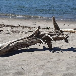 Meet your Posher, Debra